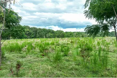 0 Turkey Creek Road, Carnesville, GA 30521 - Photo 4