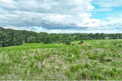 0 Turkey Creek Road, Carnesville, GA 30521 - Photo 6