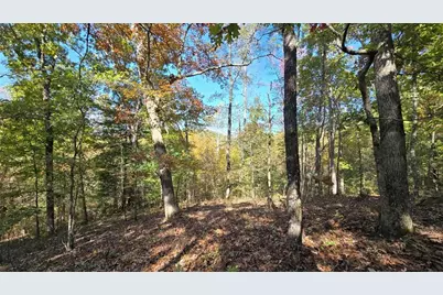 865 Bolster Lane, Ranger, GA 30734 - Photo 6