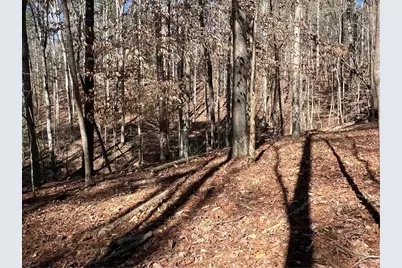 18 Lily Lane, Ellijay, GA 30540 - Photo 28