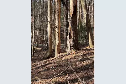 18 Lily Lane, Ellijay, GA 30540 - Photo 20