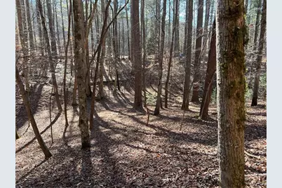 18 Lily Lane, Ellijay, GA 30540 - Photo 18