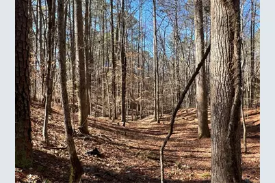 18 Lily Lane, Ellijay, GA 30540 - Photo 10