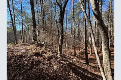 18 Lily Lane, Ellijay, GA 30540 - Photo 24