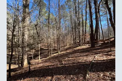 18 Lily Lane, Ellijay, GA 30540 - Photo 4