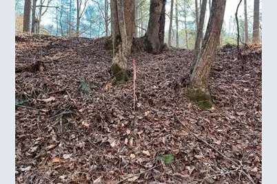 18 Lily Lane, Ellijay, GA 30540 - Photo 8