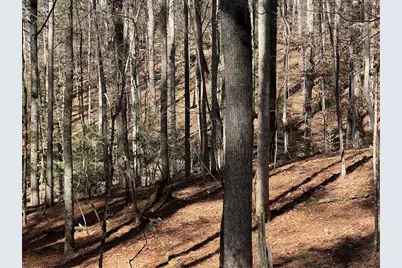 18 Lily Lane, Ellijay, GA 30540 - Photo 12