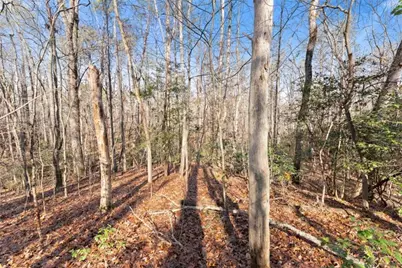 4541 Cavender Creek Road, Dahlonega, GA 30533 - Photo 48