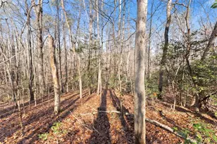 4541 Cavender Creek Rd, Dahlonega, GA 30533 - Photo 48