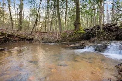 4541 Cavender Creek Road, Dahlonega, GA 30533 - Photo 68