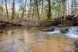 4541 Cavender Creek Rd, Dahlonega, GA 30533 - Photo 68