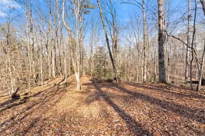 4541 Cavender Creek Road, Dahlonega, GA 30533 - Photo 46