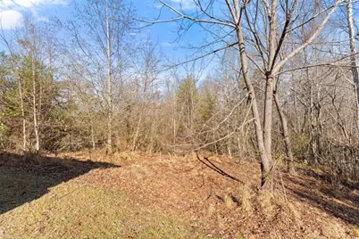 4541 Cavender Creek Road, Dahlonega, GA 30533 - Photo 44