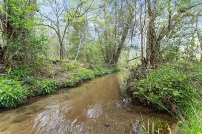 4541 Cavender Creek Road, Dahlonega, GA 30533 - Photo 62