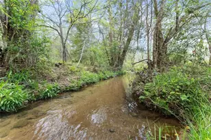 4541 Cavender Creek Rd, Dahlonega, GA 30533 - Photo 62