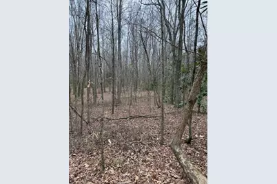 0 Center Road, Cartersville, GA 30121 - Photo 4