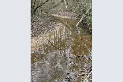 00 Center Road, Cartersville, GA 30121 - Photo 8