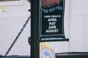 4171 Millstone Pk Ln, Gainesville, GA 30504 - Photo 58