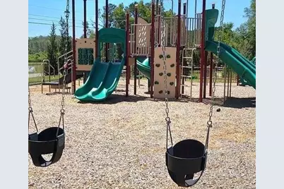 322 Friendship Oak Way, Hampton, GA 30228 - Photo 30