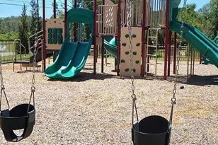 322 Friendship Oak Wy, Hampton, GA 30228 - Photo 30