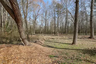 3351 Mallard Cove SW, Smyrna, GA 30082 - Photo 4