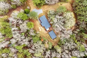 234 Peoples Rd, Jackson, GA 30233 - Photo 34