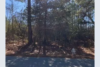 0 Cook Road Southwest, Stockbridge, GA 30281 - Photo 6