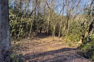 517 Ridge Rd, Blue Ridge, GA 30513 - Photo 42