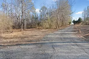 202 Sam House Rd, Bremen, GA 30110 - Photo 4