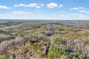 202 Sam House Rd, Bremen, GA 30110 - Photo 44