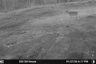 202 Sam House Rd, Bremen, GA 30110 - Photo 48