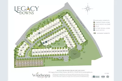 229 Legacy Downs Drive, Canton, GA 30118 - Photo 4