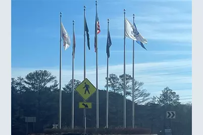 229 Legacy Downs Drive, Canton, GA 30118 - Photo 24