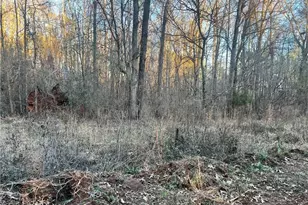 0 River Rd, Monticello, GA 31064 - Photo 1