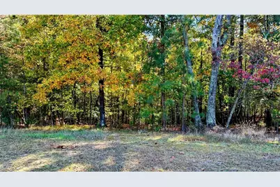 5993 Overby Road, Flowery Branch, GA 30542 - Photo 108