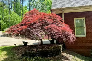 5993 Overby Rd, Flowery Branch, GA 30542 - Photo 30