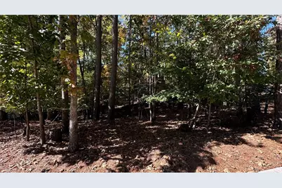 5993 Overby Road, Flowery Branch, GA 30542 - Photo 100