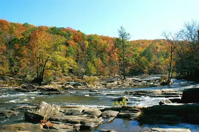 35+- Acres Mount Vernon Road, Lithia Springs, GA 30122 - Photo 10