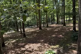 167 Nugget Ridge Rd, Dawsonville, GA 30534 - Photo 4