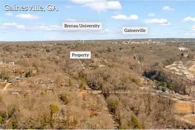 841 Dixon Drive, Gainesville, GA 30501 - Photo 10