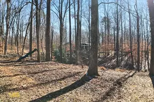 1468 Trinity Church Rd, Canton, GA 30115 - Photo 38