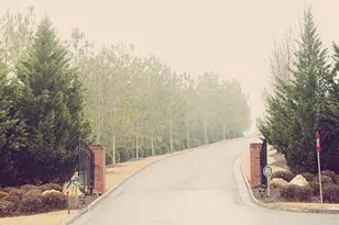 113 Old Mill Dr, Calhoun, GA 30701 - Photo 16