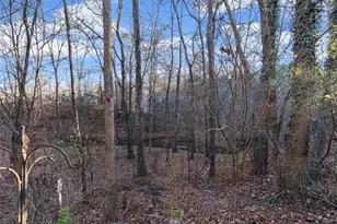 175 Gellmore Ln, Acworth, GA 30101 - Photo 62