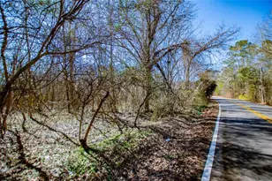 334 Old Bowdon Rd, Carrollton, GA 30117 - Photo 32