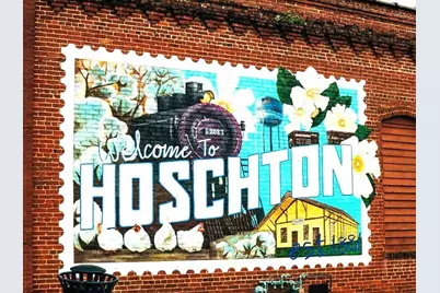 406 Kiley Drive, Hoschton, GA 30548 - Photo 4