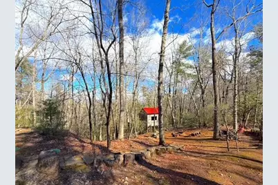 265 Hound Dog Lane, Dahlonega, GA 30533 - Photo 8