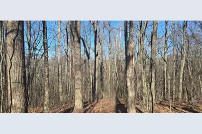 00001 Big Oak Drive, Jasper, GA 30143 - Photo 6