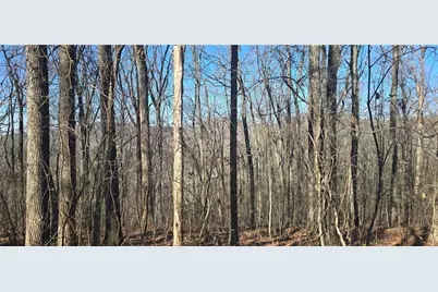 00001 Big Oak Drive, Jasper, GA 30143 - Photo 4