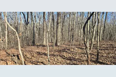 00001 Big Oak Drive, Jasper, GA 30143 - Photo 8