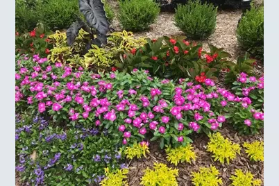 1800 Clairmont Lake #A111, Decatur, GA 30033 - Photo 46